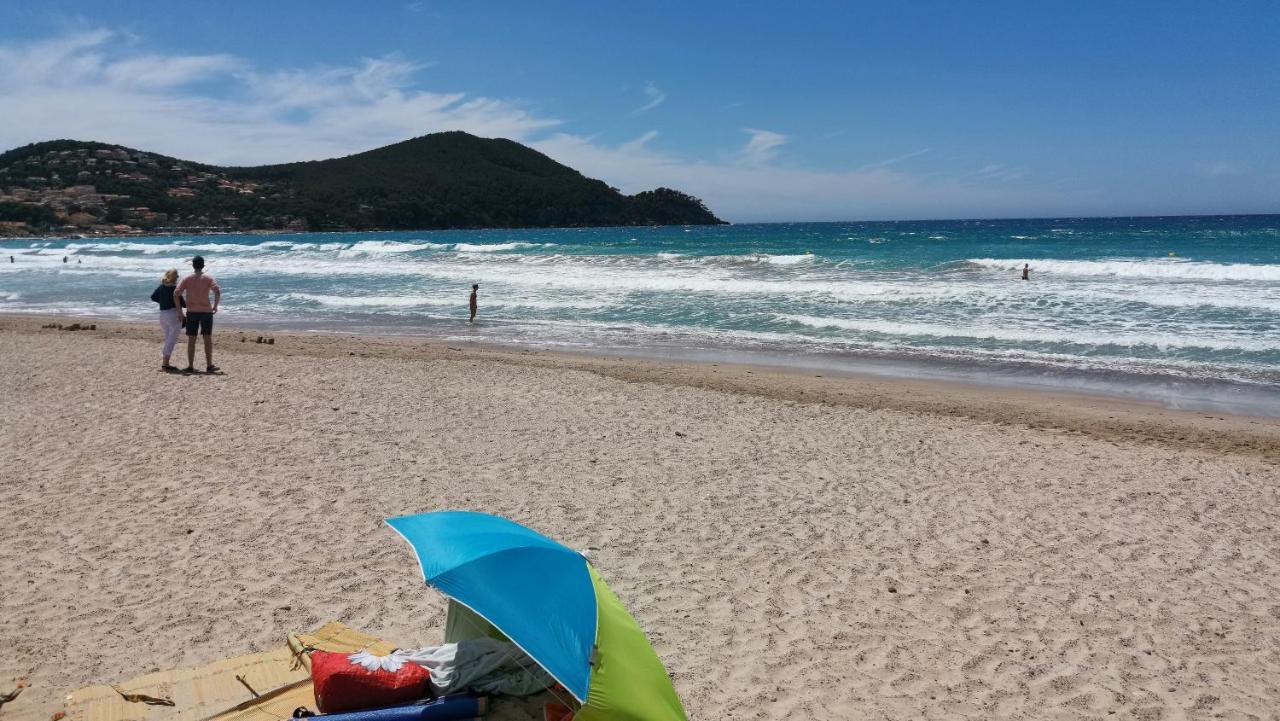 Au Clair De La Dune Appartamento